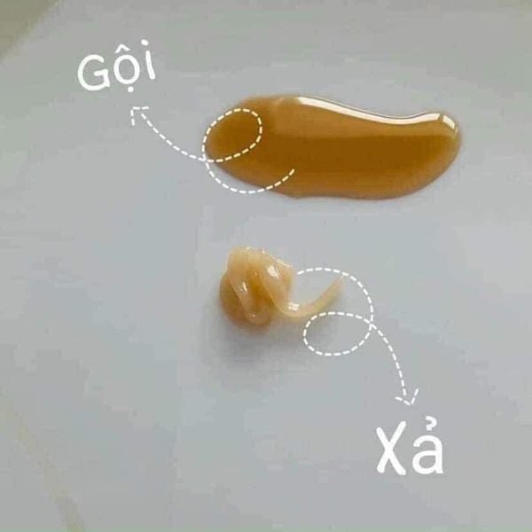 Bộ Dầu Gội và Xả Whoo Spa Shampoo & Rinse - Image 2